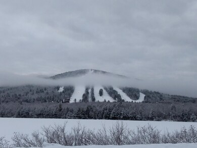Lot 14 Trailside Way, Bridgton, ME 04009 - photo 4
