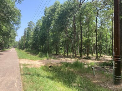 0 Miller Rd, Magnolia, TX 77354 - photo 6