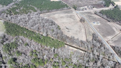 00 Cal Jones Rd, Vanceboro, NC 28586 - photo 5