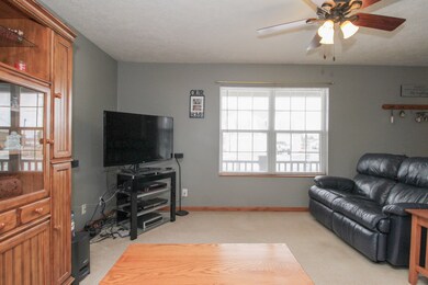 302 S Lincoln St, Downs, IL 61736 - photo 7