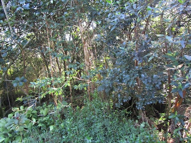 0 8th Ave unit 717935, Keaau, HI 96749 - photo 3