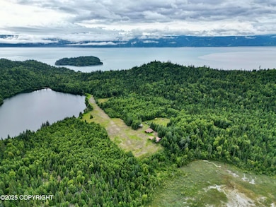 Tr A-2 Pomeroy Rd, Homer, AK 99603 - photo 3