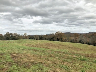 351 Rocky River Rd, Bone Cave, TN 38581 - photo 3