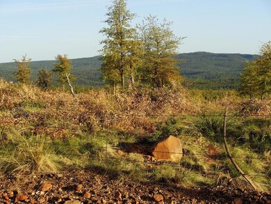 12 Hoot Owl Trail, Payson, AZ 85541 - photo 3