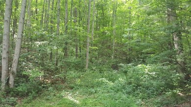 99999 Pentland Hills Dr, Asheville, NC 28806 - photo 3