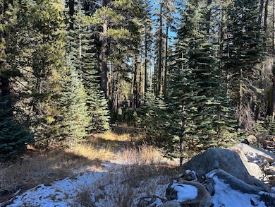 550 Cabbage Patch Log Rd, Tamarack, CA 95223 - photo 4