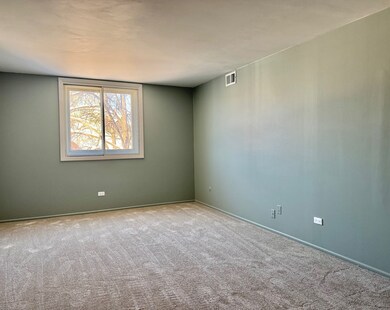 825 Pearson St unit 3D, Des Plaines, IL 60016 - photo 6