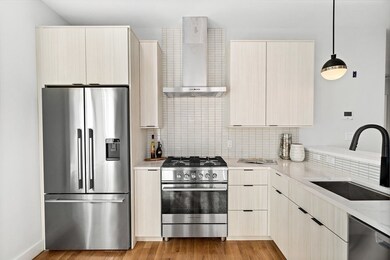 33 Haverford St unit 3, Jamaica Plain, MA 02130 - photo 5