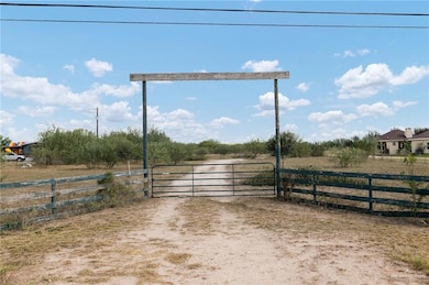 25356 Brushline Rd, Edinburg, TX 78542 - photo 2