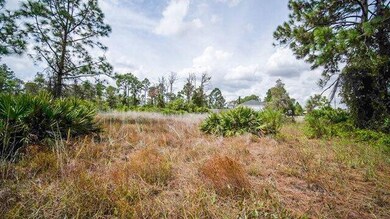 1253 Songbird St, Fort Myers, FL 33913 - photo 5