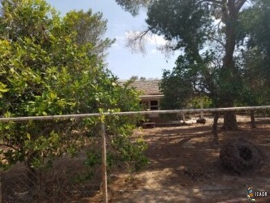 Main House/Fruit Trees