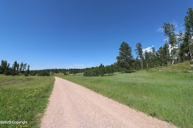 TBD Reynolds Rd, Sundance, WY 82729 - photo 3