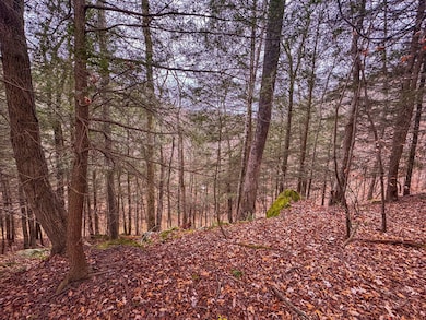 0 County Road 30 unit 11616318, MacFarlan, WV 26148 - photo 6