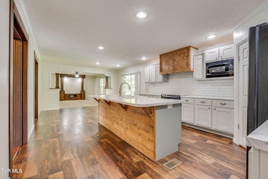 474 Thornburg Rd, Fall Branch, TN 37656 - photo 7