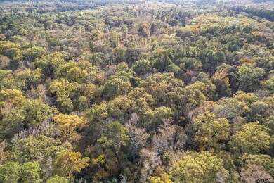 20304 N Hwy 154, Winona, TX 75792 - photo 3