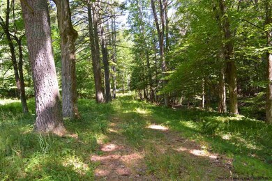 417 Whitfield Rd, Accord, NY 12404 - photo 3