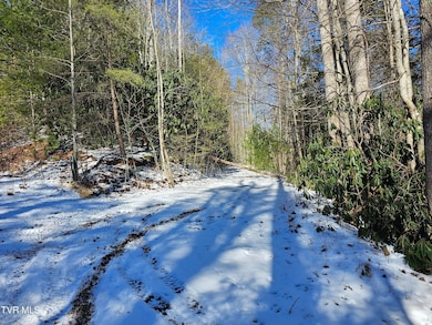 Tbd Viking Mtn Rd, Greeneville, TN 37743 - photo 3