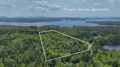 Property lines 3 Approximate