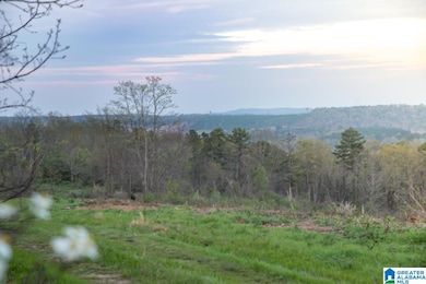 4947 U S 231 unit 5, Vincent, AL 35178 - photo 5