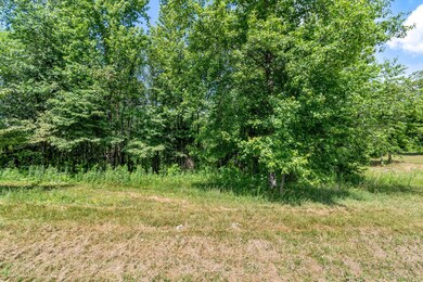 0 Fredonia Rd unit RTC2671348, Manchester, TN 37355 - photo 3