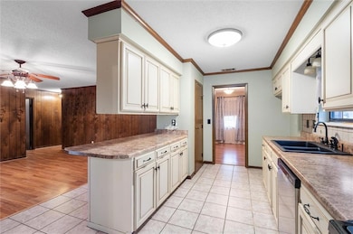 Kitchen with sink, stainless steel dishwasher, lig