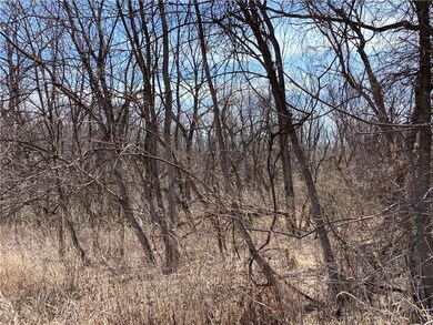 Rural 100th St St N, Baxter, IA 50028 - photo 7