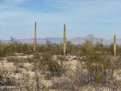 1180 557th Ave, Tonopah, AZ 85354 - photo 7
