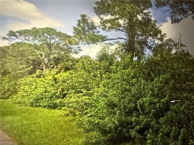 0 5th St NW unit 225073751, Naples, FL 34120 - photo 2