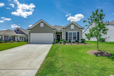 433 Black Cherry Way, Conway, SC 29526 - photo 6