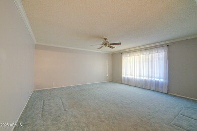 6328 E Dallas St, Mesa, AZ 85205 - photo 5