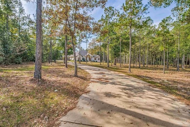 2329 Molino Bridge Rd, Milton, FL 32571 - photo 2