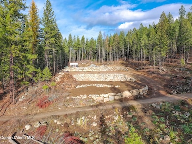 320 Towering Pines Drive (5 Ac), Sagle, ID 83860 - photo 7