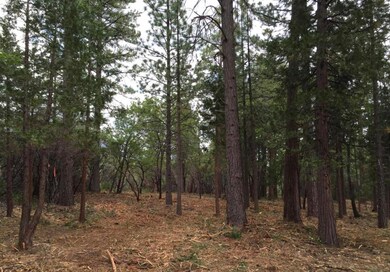 5Ac Whitmore 4