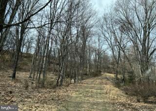 Tract B Ewing Dr, Baker, WV 26801 - photo 4