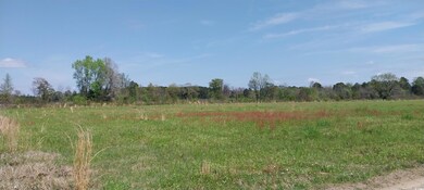 View of local wilderness
