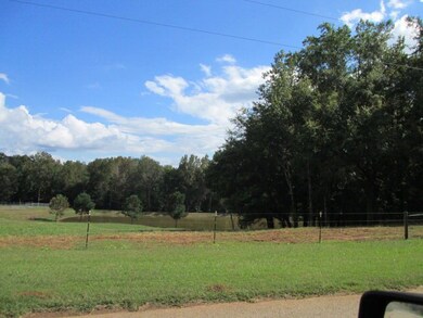 201 Dye Rd, Gray, GA 31032 - photo 3