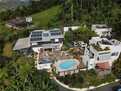 El Yunque KM 10 Carr 186, Canovanas, PR 00729 - photo 6