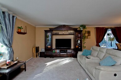 84 Fuller St unit 12, Ludlow, MA 01056 - photo 5