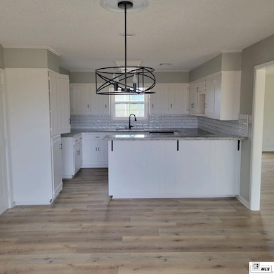 347 J T Griggs Rd, Calhoun, LA 71225 - photo 3