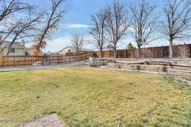 Back yard