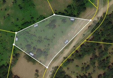 Lot 160 River Bluffs Dr, Jasper, TN 37347 - photo 2