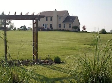 View From Back of Lot.JPG