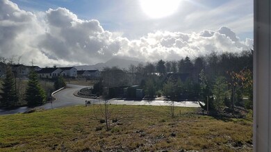 view from greatroom