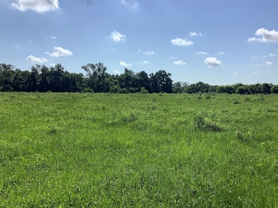 0000 Old Plain Dealing Rd, Benton, LA 71006 - photo 3