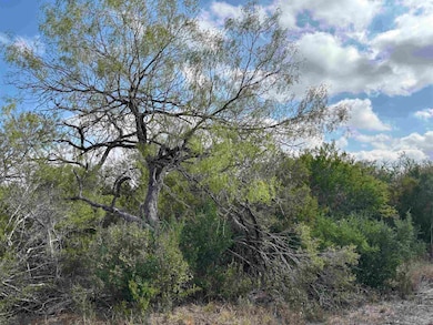 0 Farm To Market Road 889, George West, TX 78022 - photo 6