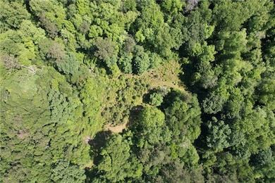 6.671 acres Lawrence Creek Rd, Franklinton, LA 70438 - photo 6