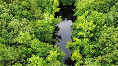 Highway 25, Fulton, MS 38843 - photo 2