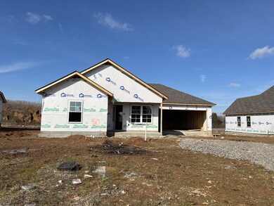 214 Meadow Dr, Shelbyville, TN 37160 - photo 3