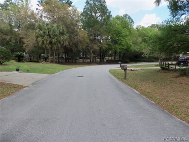 Lot 2 SW 197th Cir, Dunnellon, FL 34432 - photo 2