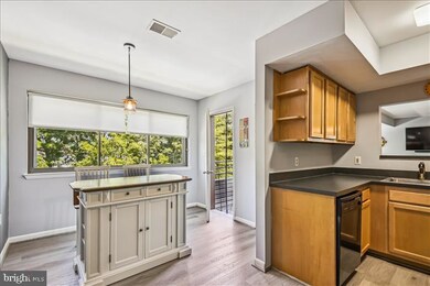 8011 Greenspring Way unit 8011E, Owings Mills, MD 21117 - photo 4